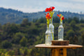 Fleur Essence Services Compte-gouttes, Green Bells of Ireland, 0,25 Once