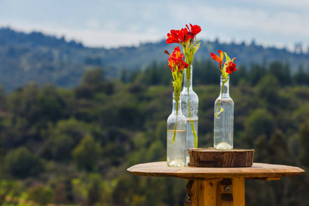 Fleur Essence Services Compte-gouttes, Green Bells of Ireland, 0,25 Once