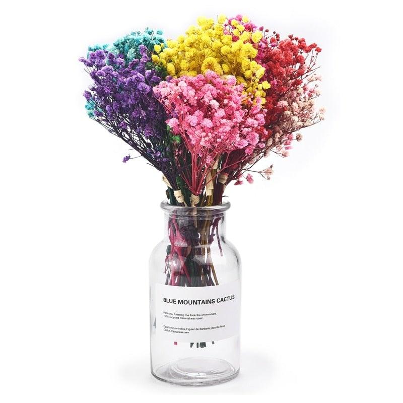 Fleurs séchées naturelles Gypsophile Mini Souffle de bébé Fleur Conservée Décor Floral Bouquet Mariage Fête Maison Toile de fond Décor 12cm