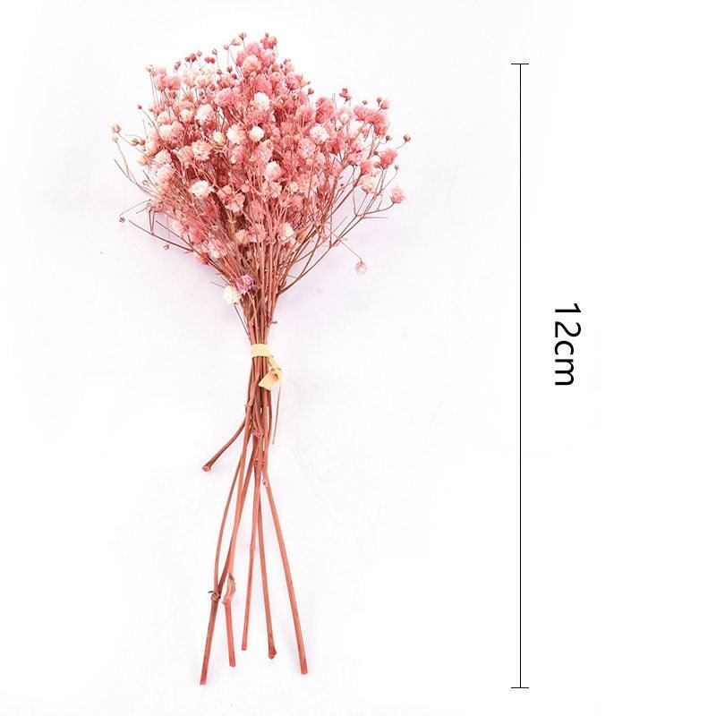 Fleurs séchées naturelles Gypsophile Mini Souffle de bébé Fleur Conservée Décor Floral Bouquet Mariage Fête Maison Toile de fond Décor 12cm