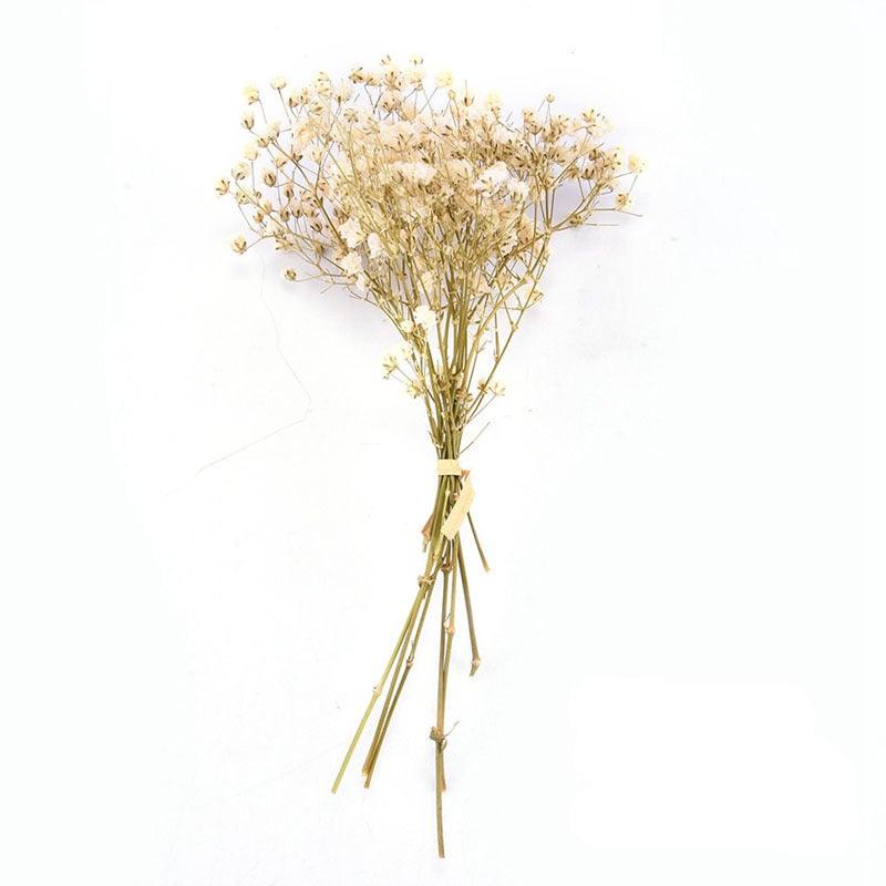 Fleurs séchées naturelles Gypsophile Mini Souffle de bébé Fleur Conservée Décor Floral Bouquet Mariage Fête Maison Toile de fond Décor 12cm
