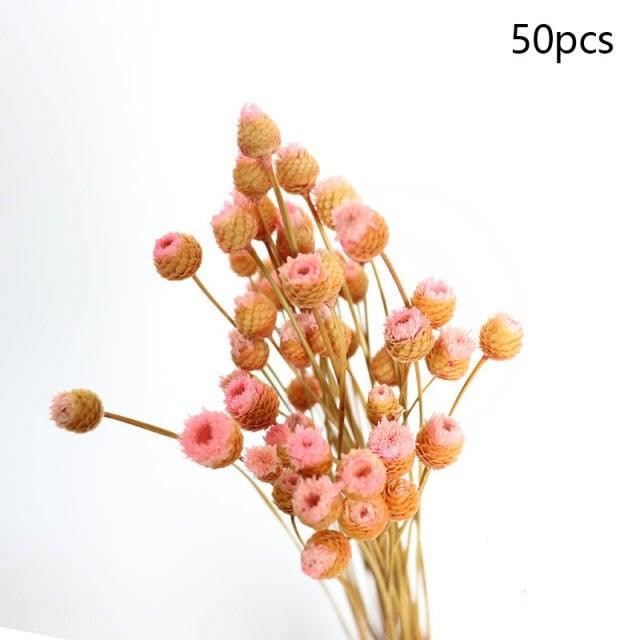 Fleurs séchées naturelles Gypsophile Mini Souffle de bébé Fleur Conservée Décor Floral Bouquet Mariage Fête Maison Toile de fond Décor 12cm