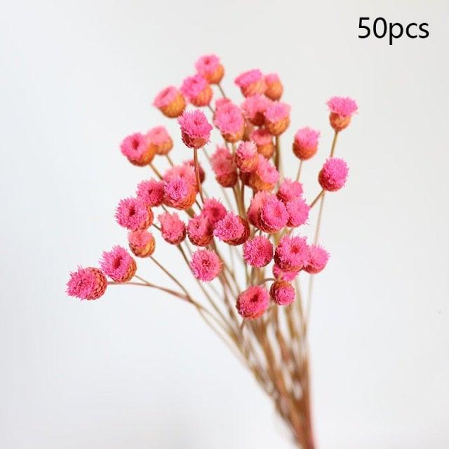 Fleurs séchées naturelles Gypsophile Mini Souffle de bébé Fleur Conservée Décor Floral Bouquet Mariage Fête Maison Toile de fond Décor 12cm