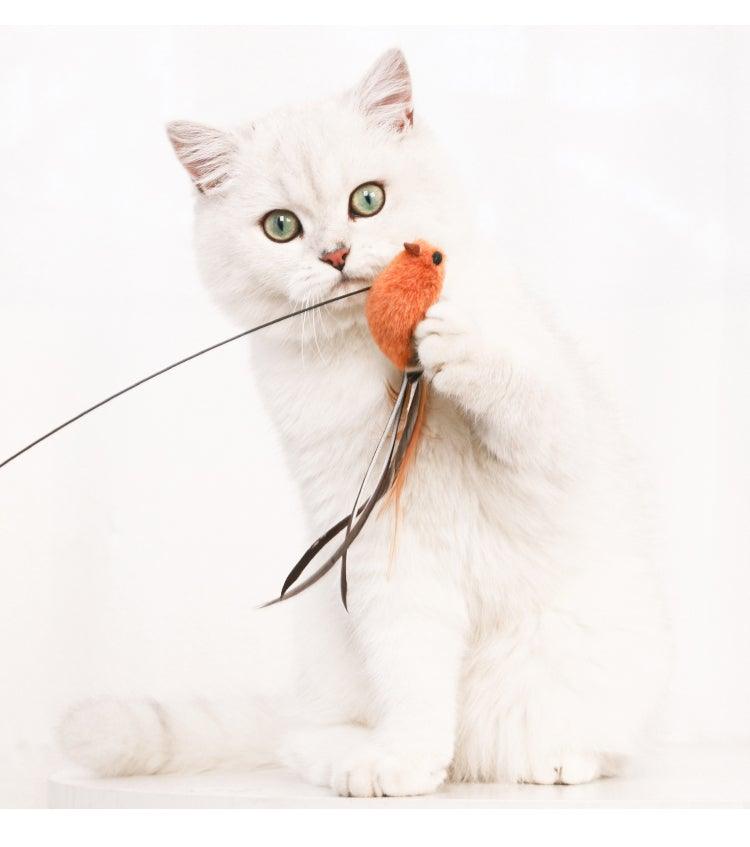 Jouet en forme de baguette pour chat, avec plume amusante et clochette, pour chaton, jouet interactif à agiter, avec peluche, jouet amusant pour l'exercice du chat