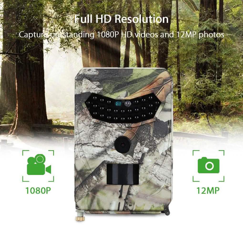 Caméra de Chasse Vision Nocturne Étanche IP65 Sans Fil