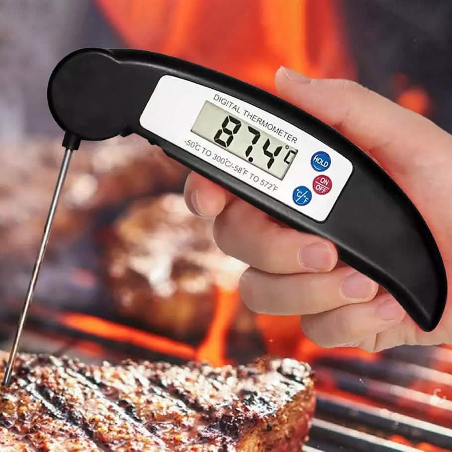 Thermomètre numérique instantané ProThermo en acier inoxydable pour viande et volaille