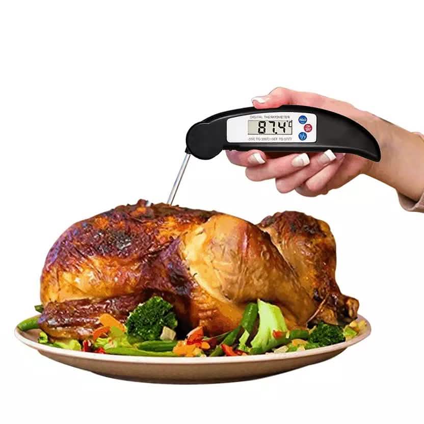 Thermomètre numérique instantané ProThermo en acier inoxydable pour viande et volaille