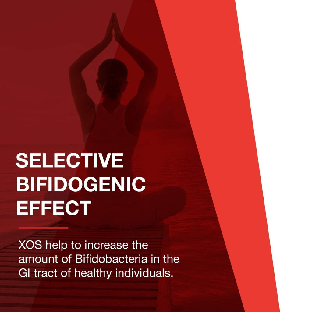 PROTOCOL FOR LIFE BALANCE - Prebiotic Powder XOS - 3 Ounces Powder