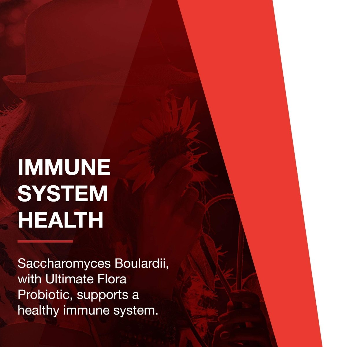 Protocol For Life Balance Saccharomyces Boulardii 60 gélules - P2933