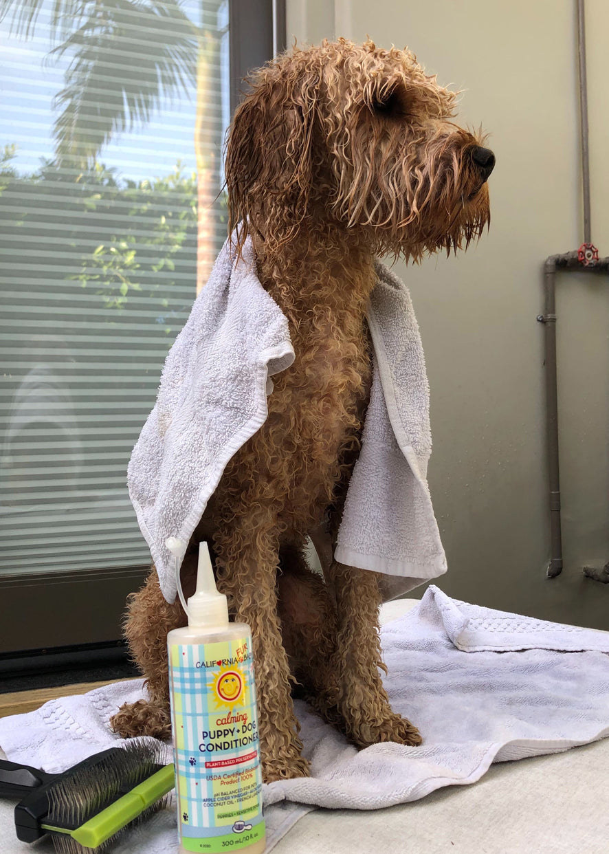 Revitalisant Apaisant pour Chiot + Chien™