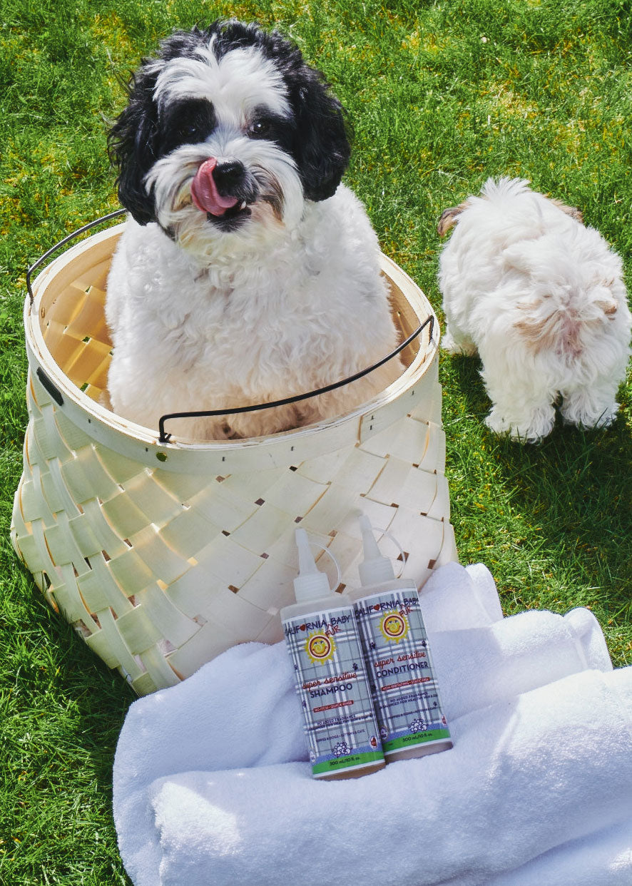 (Sans parfum) Lavage Super Sensitive™ pour chiots + chiens + chatons