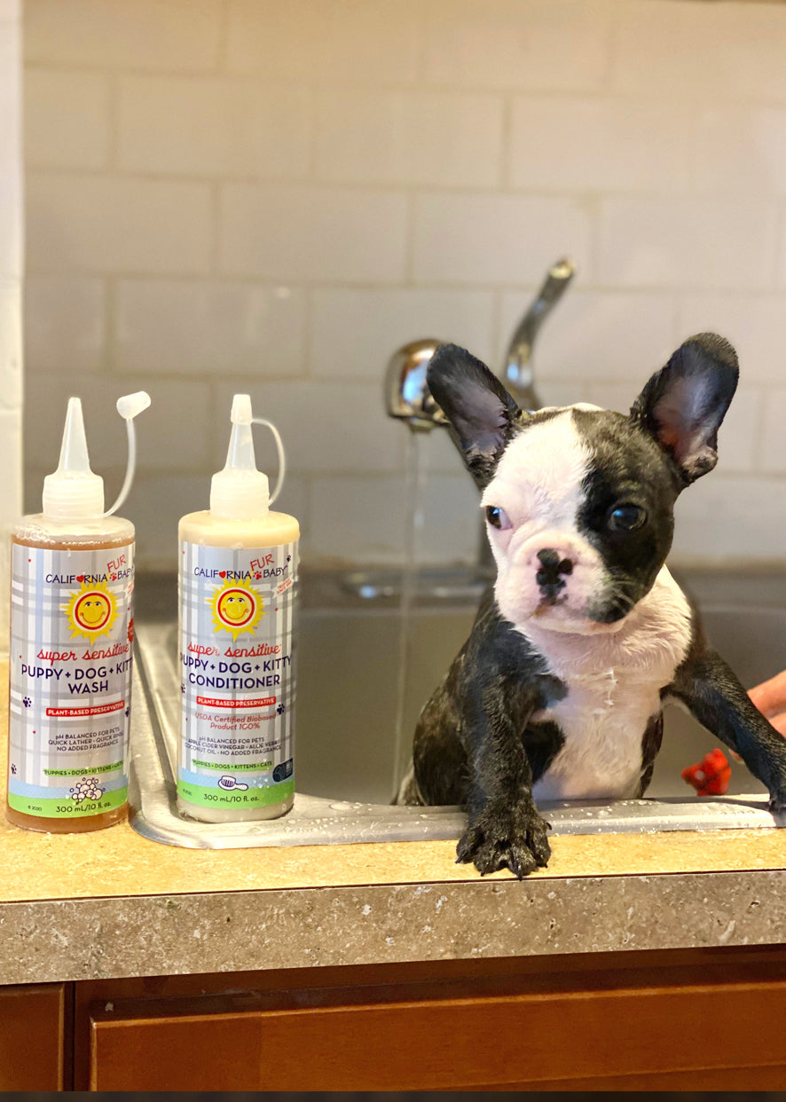 (Sans parfum) Après-shampooing Super Sensible™ Chiot + Chien + Chaton