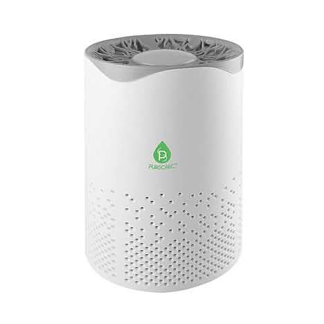 Purificateur d'air True Hepa Pursonic alimenté par USB