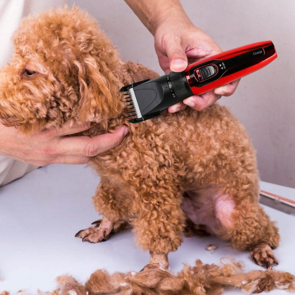 Trousse de toilettage sans fil rechargeable pour animaux de compagnie