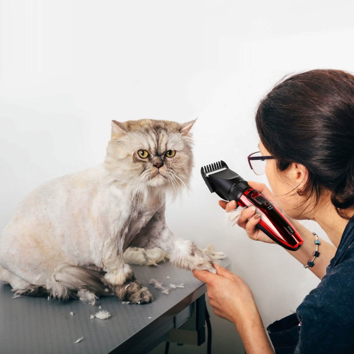 Trousse de toilettage sans fil rechargeable pour animaux de compagnie