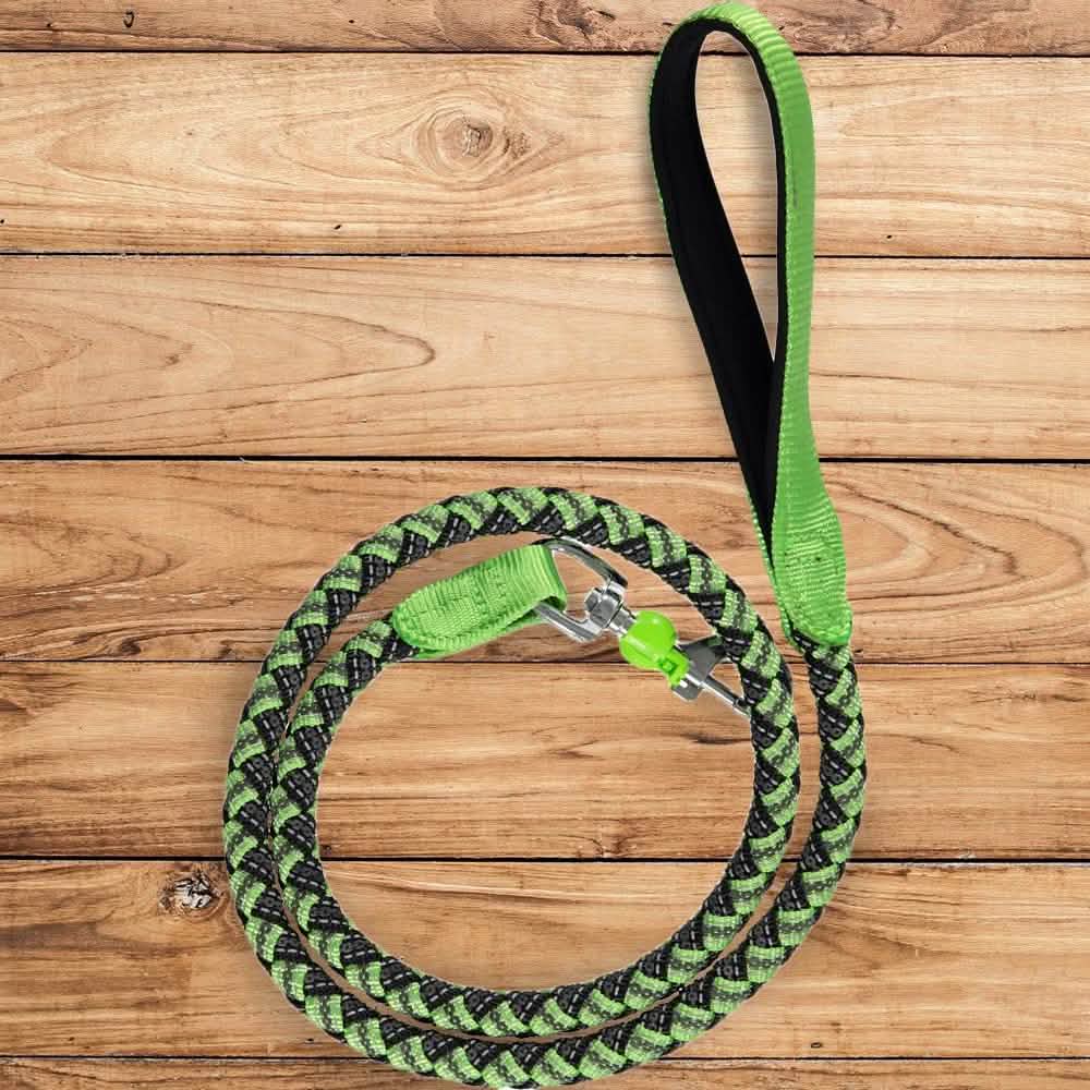 Laisse tressée extensible et réfléchissante pour animaux de compagnie
