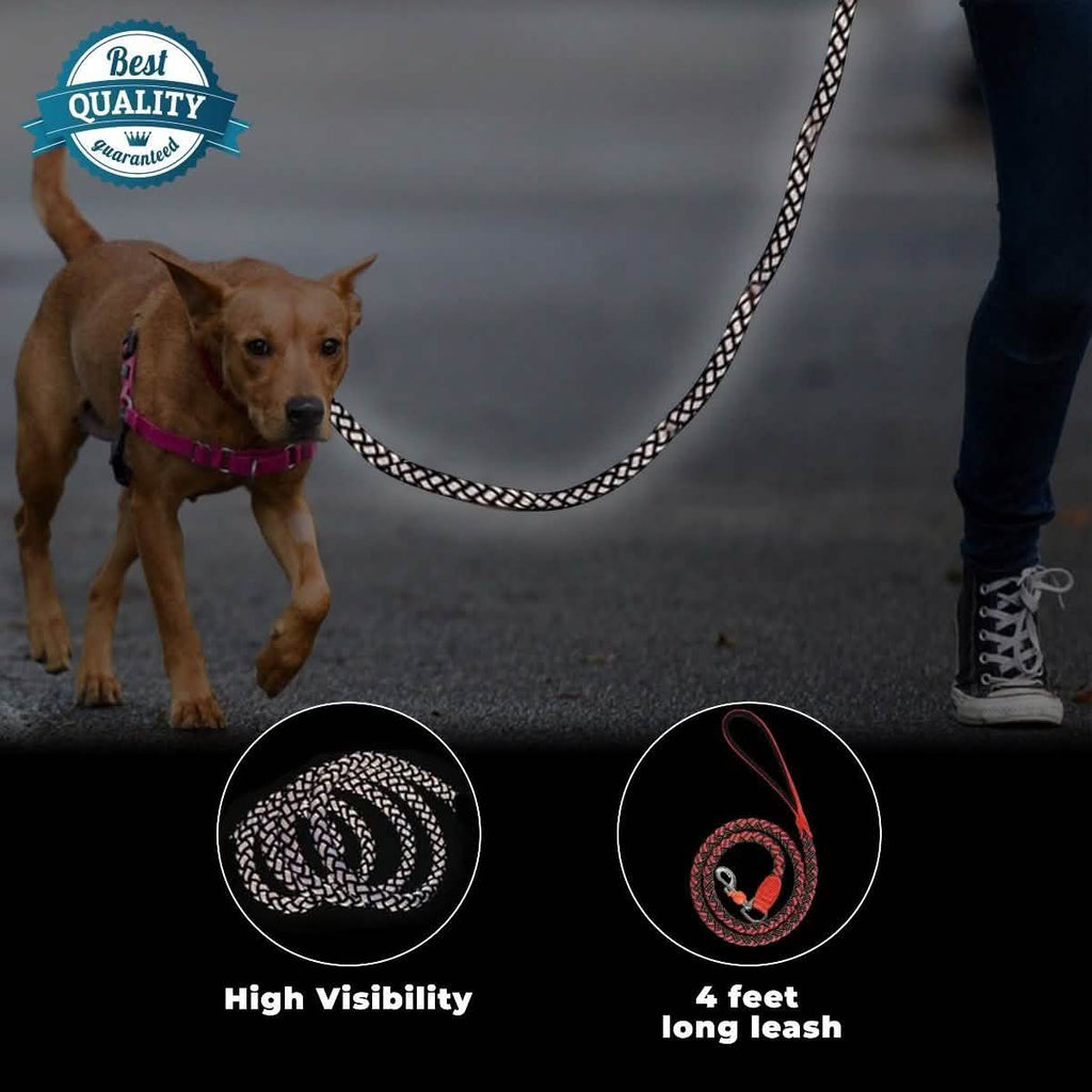 Laisse tressée extensible et réfléchissante pour animaux de compagnie