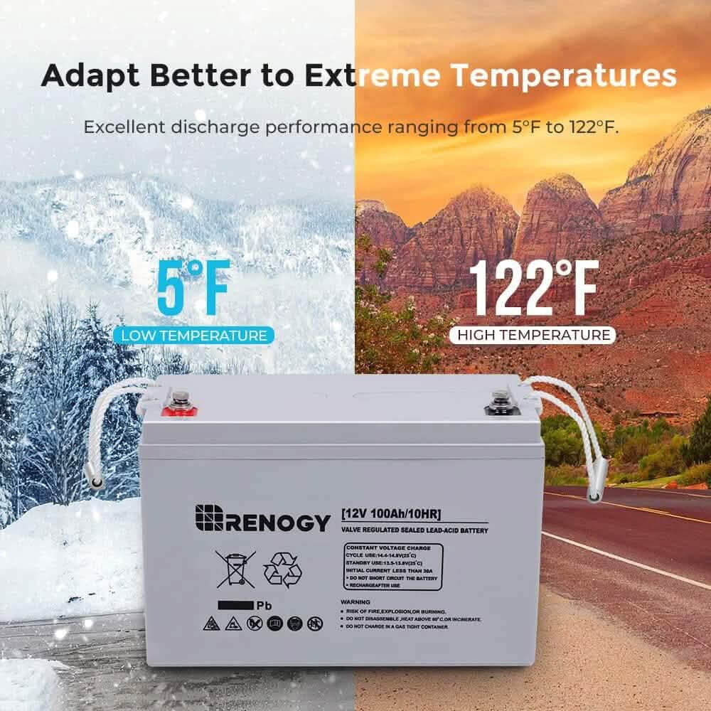 Batterie AGM à décharge profonde Renogy 12 volts 100 Ah (reconditionnée)