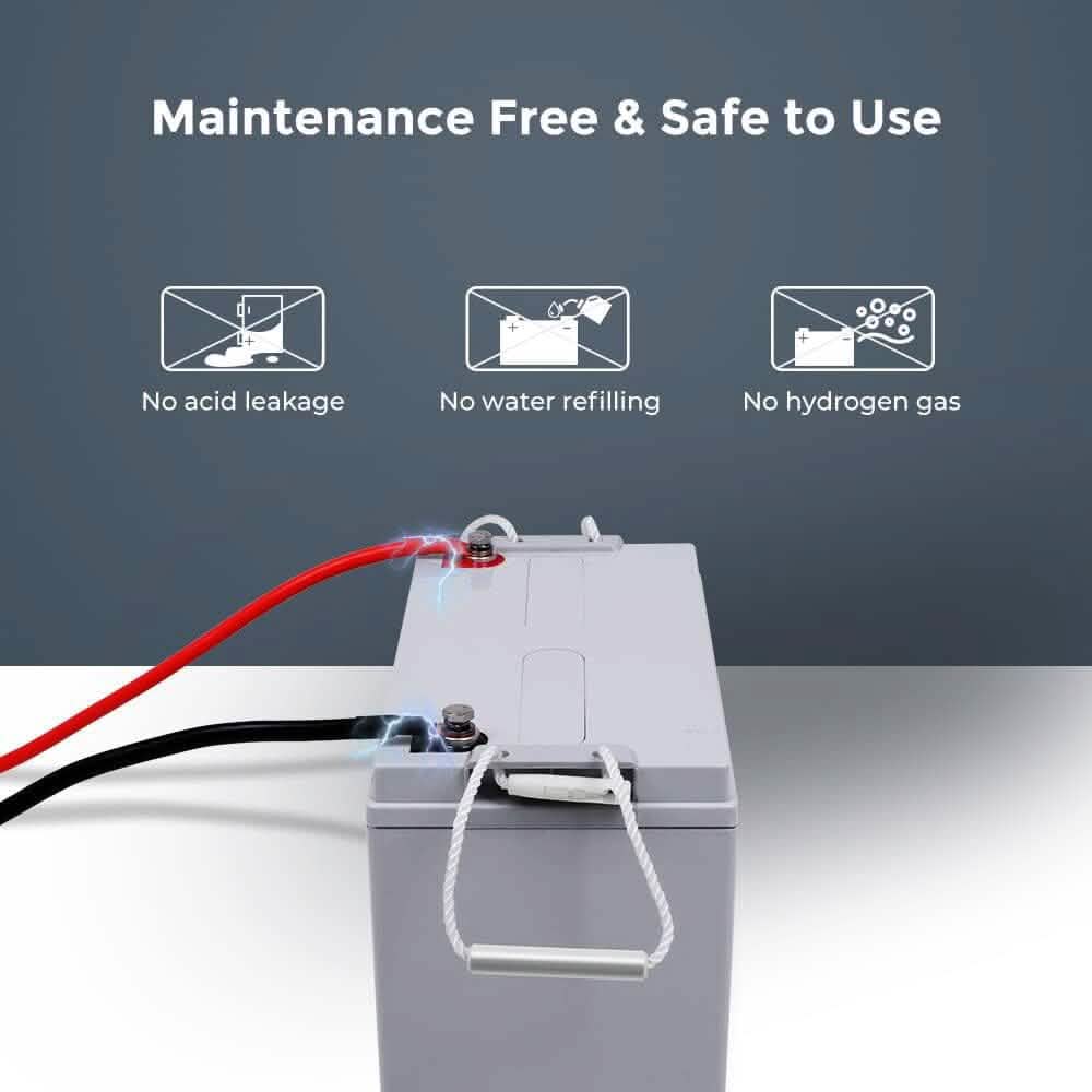 Batterie AGM à décharge profonde Renogy 12 volts 100 Ah (reconditionnée)