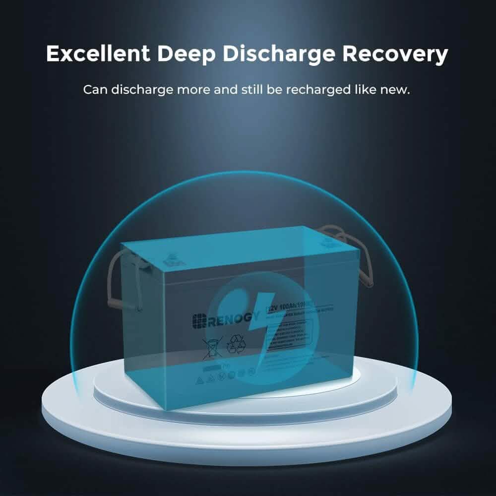Batterie AGM à décharge profonde Renogy 12 volts 100 Ah (reconditionnée)