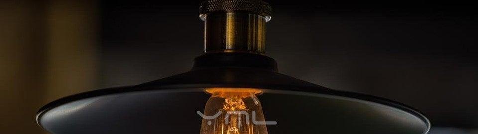 Ampoule rétro Edison ST64 A19 T45 G80 G95 G125 Incandescente E27 220V 40W tubes lumineux à filament Edison