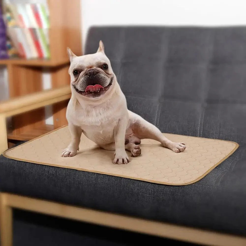 Alèses réutilisables pour chiens Couches pour chiens Tapis imperméable pour chiots pour animaux de compagnie - Alèses d'apprentissage lavables pour chiens chats lapins