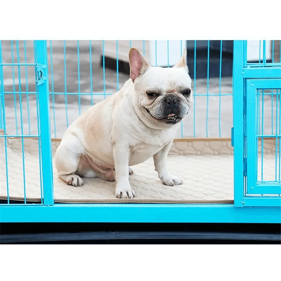 Alèses réutilisables pour chiens Couches pour chiens Tapis imperméable pour chiots pour animaux de compagnie - Alèses d'apprentissage lavables pour chiens chats lapins