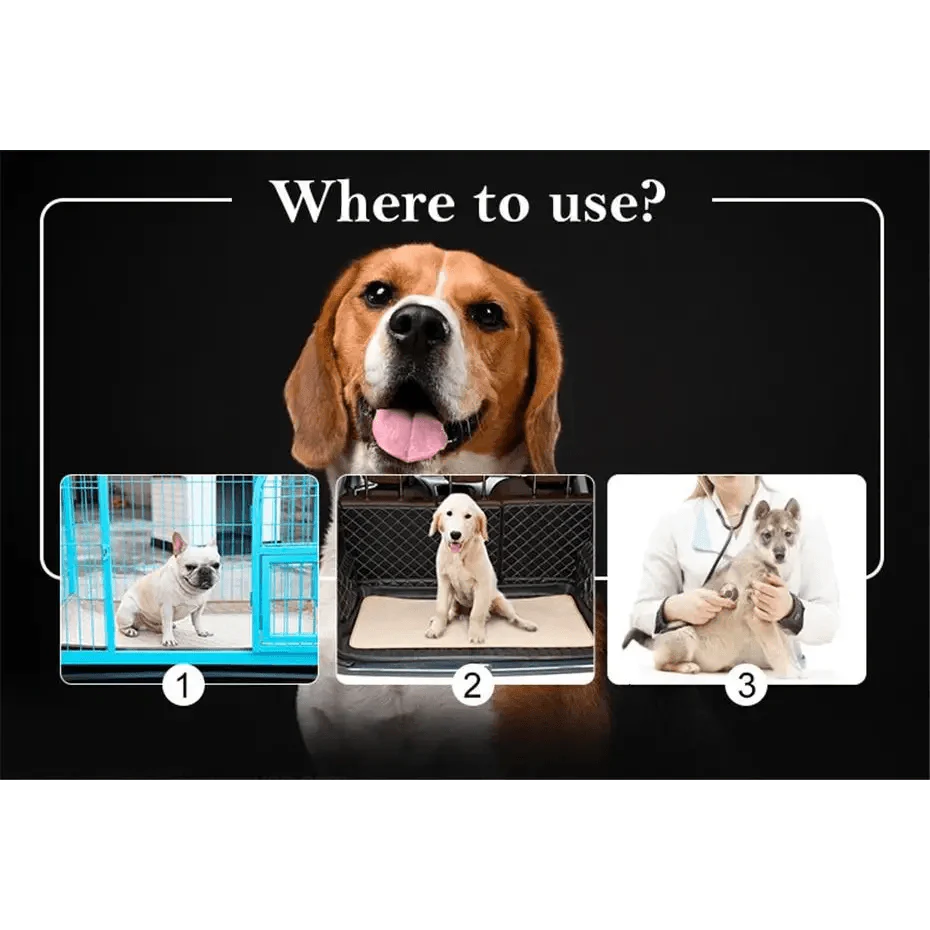 Alèses réutilisables pour chiens Couches pour chiens Tapis imperméable pour chiots pour animaux de compagnie - Alèses d'apprentissage lavables pour chiens chats lapins