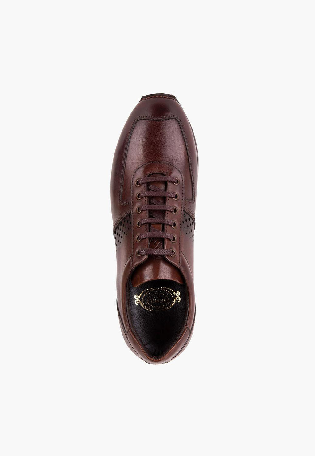 Richmond Sneaker Brown