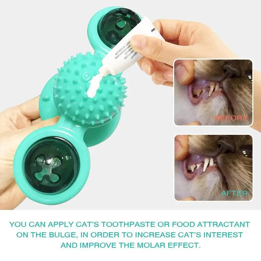 Jouets rotatifs amusants pour chat avec vent moulin et balle LED pour le nettoyage des dents, jouets interactifs pour animaux de compagnie, platine tournante pour taquiner les chats