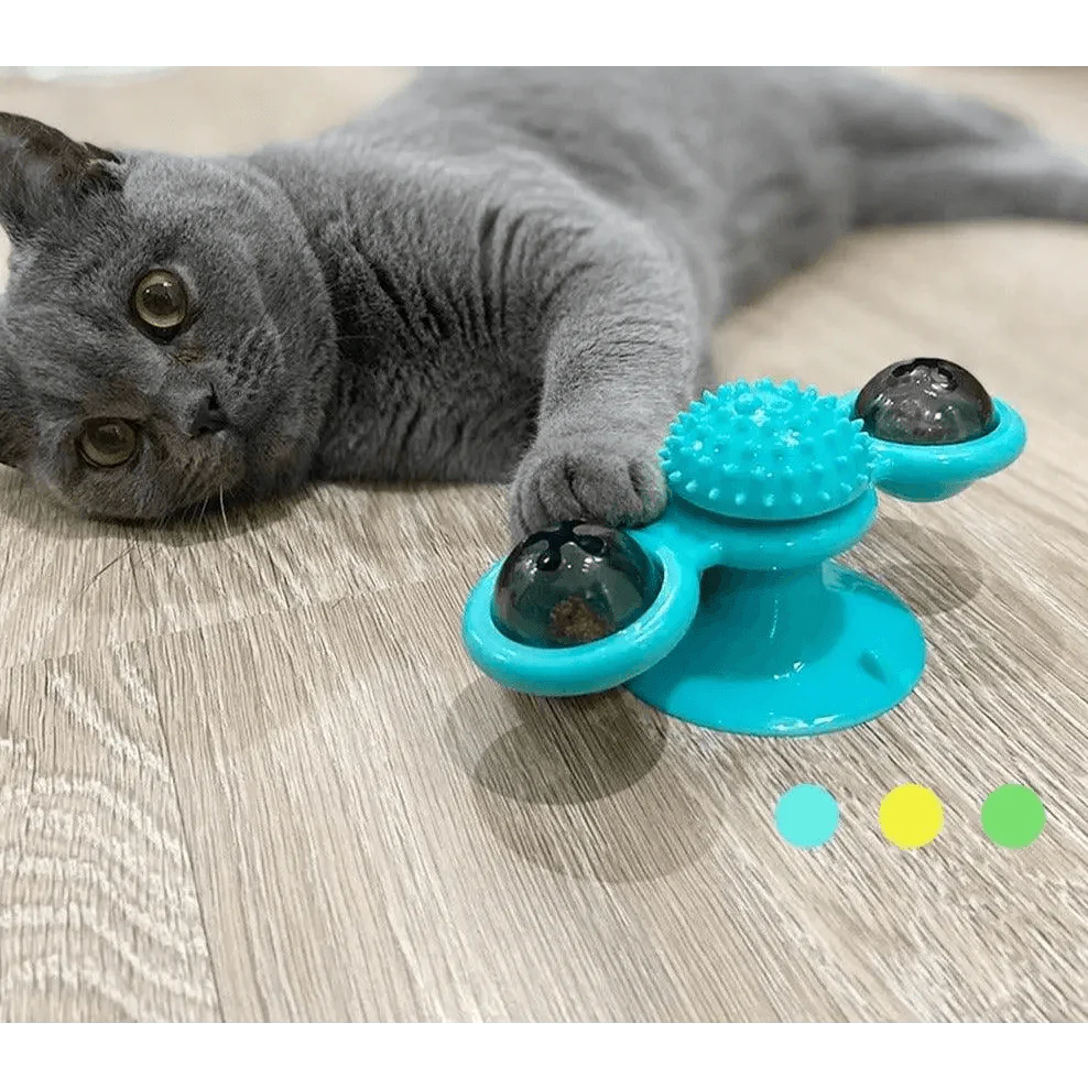 Jouets rotatifs amusants pour chat avec vent moulin et balle LED pour le nettoyage des dents, jouets interactifs pour animaux de compagnie, platine tournante pour taquiner les chats