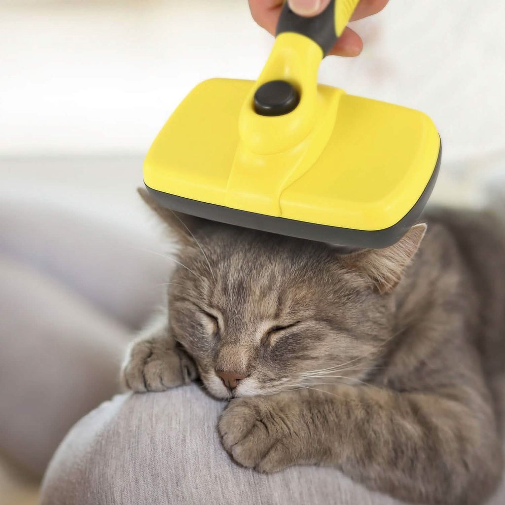 Brosse autonettoyante pour animaux de compagnie