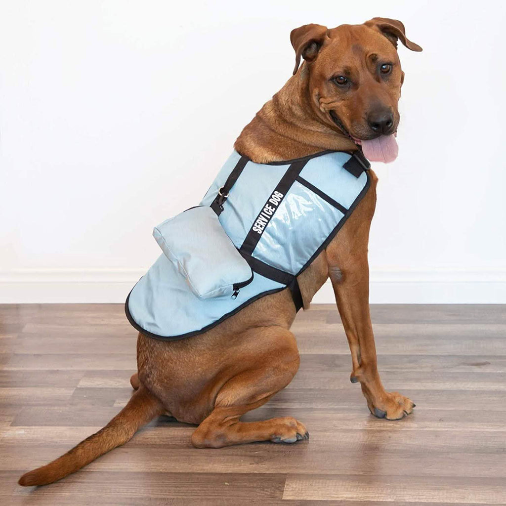 Gilet de chien d'assistance