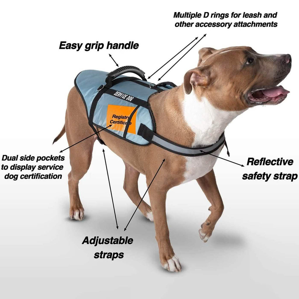 Gilet de chien d'assistance