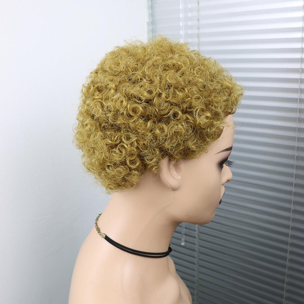 Perruques Courtes Cheveux Bouclés Coupe Pixie Cheveux Humains Brésiliens Pour Femmes Noires Noir Naturel 150% Densité Perruque Cheveux Humains Frisés Crépus Afro Sans Colle Pour Femmes Noires Cadeaux Pour Petites Amies