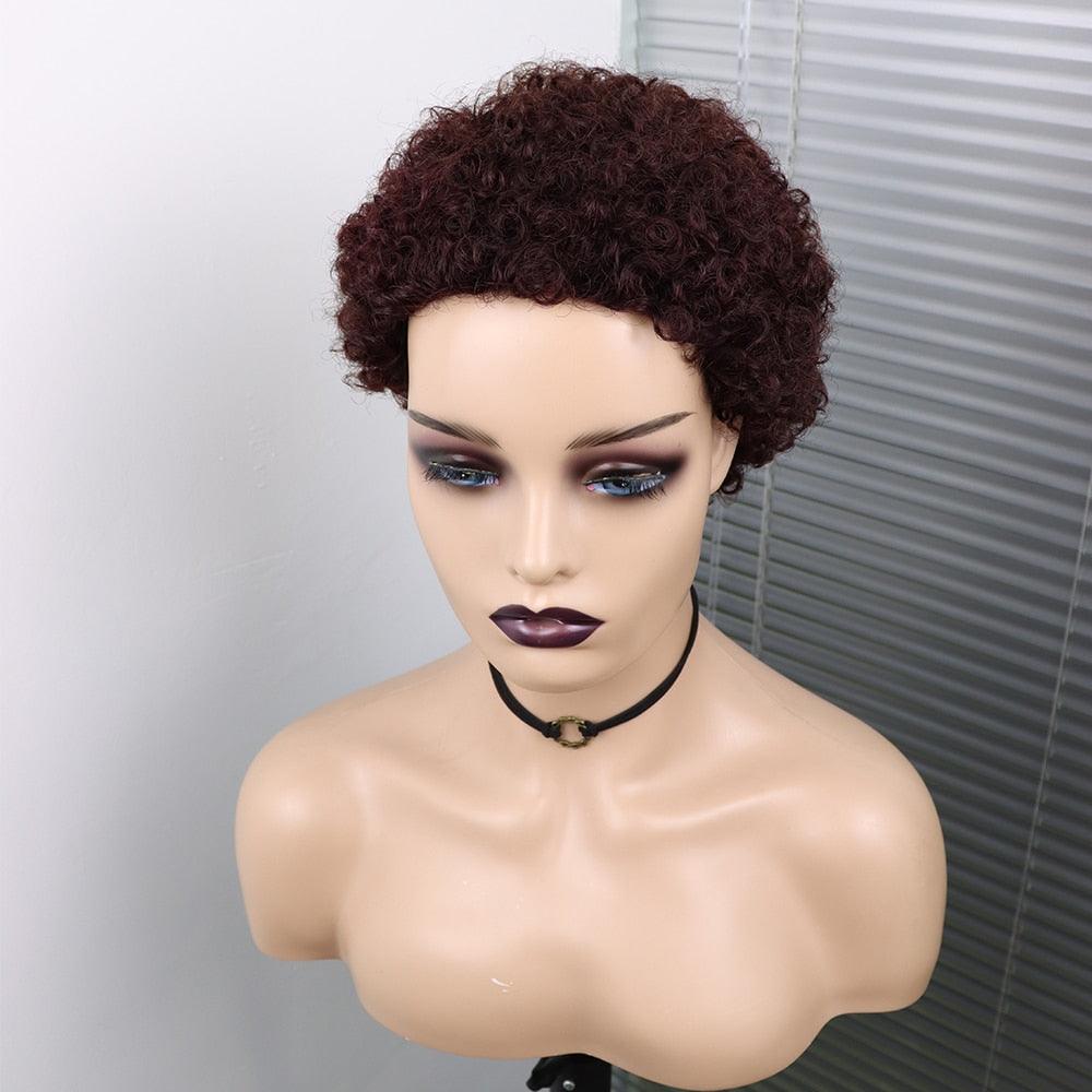 Perruques Courtes Cheveux Bouclés Coupe Pixie Cheveux Humains Brésiliens Pour Femmes Noires Noir Naturel 150% Densité Perruque Cheveux Humains Frisés Crépus Afro Sans Colle Pour Femmes Noires Cadeaux Pour Petites Amies