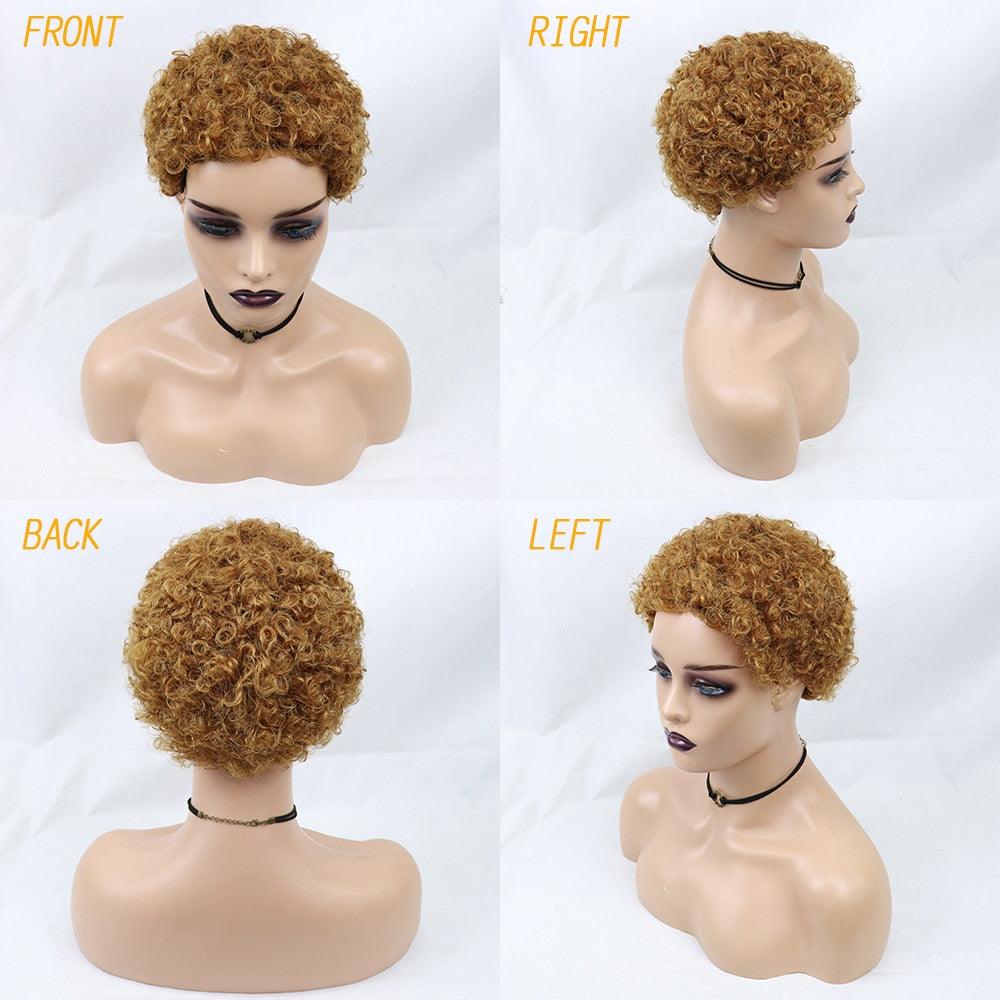 Perruques Courtes Cheveux Bouclés Coupe Pixie Cheveux Humains Brésiliens Pour Femmes Noires Noir Naturel 150% Densité Perruque Cheveux Humains Frisés Crépus Afro Sans Colle Pour Femmes Noires Cadeaux Pour Petites Amies