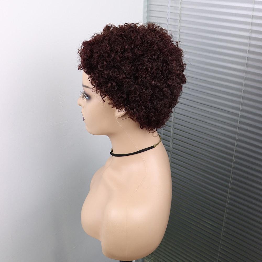 Perruques Courtes Cheveux Bouclés Coupe Pixie Cheveux Humains Brésiliens Pour Femmes Noires Noir Naturel 150% Densité Perruque Cheveux Humains Frisés Crépus Afro Sans Colle Pour Femmes Noires Cadeaux Pour Petites Amies