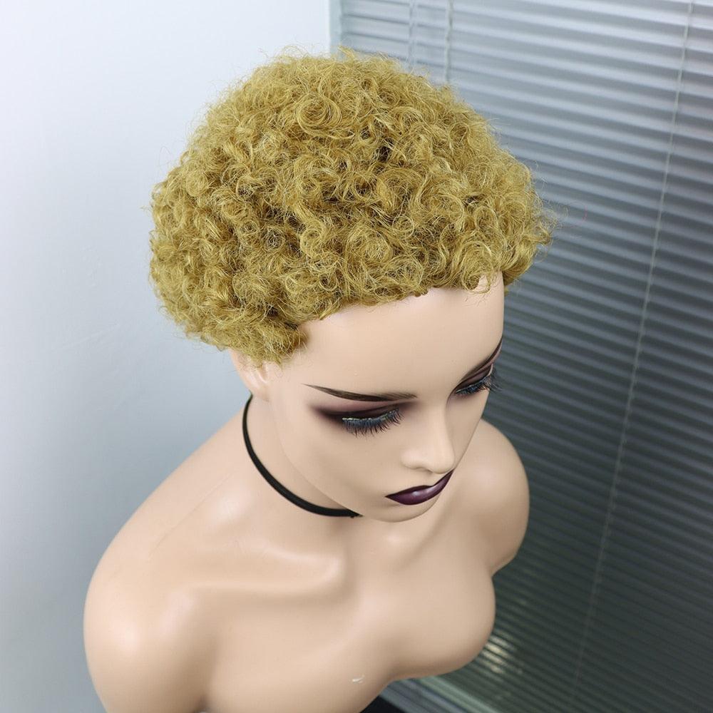 Perruques Courtes Cheveux Bouclés Coupe Pixie Cheveux Humains Brésiliens Pour Femmes Noires Noir Naturel 150% Densité Perruque Cheveux Humains Frisés Crépus Afro Sans Colle Pour Femmes Noires Cadeaux Pour Petites Amies