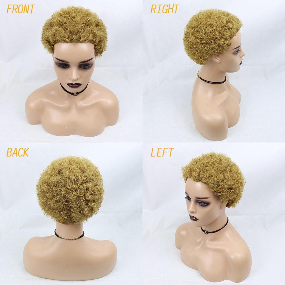 Perruques Courtes Cheveux Bouclés Coupe Pixie Cheveux Humains Brésiliens Pour Femmes Noires Noir Naturel 150% Densité Perruque Cheveux Humains Frisés Crépus Afro Sans Colle Pour Femmes Noires Cadeaux Pour Petites Amies