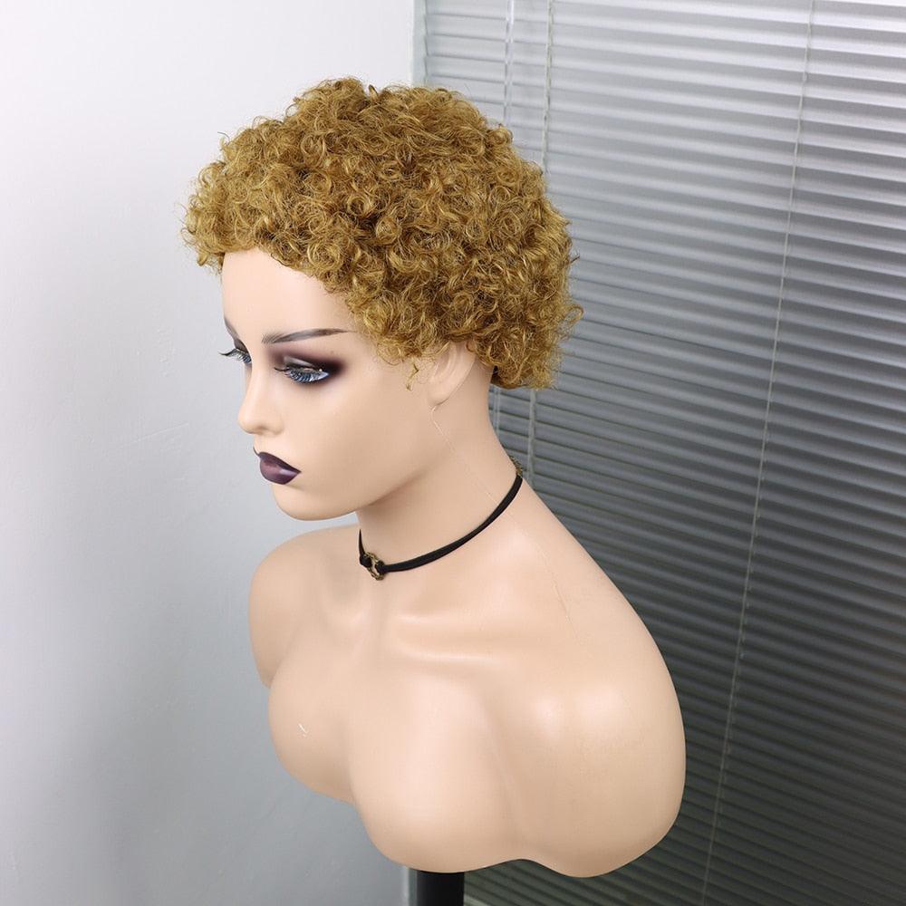 Perruques Courtes Cheveux Bouclés Coupe Pixie Cheveux Humains Brésiliens Pour Femmes Noires Noir Naturel 150% Densité Perruque Cheveux Humains Frisés Crépus Afro Sans Colle Pour Femmes Noires Cadeaux Pour Petites Amies