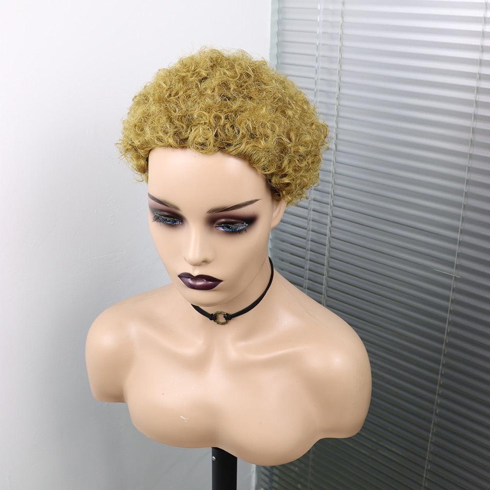 Perruques Courtes Cheveux Bouclés Coupe Pixie Cheveux Humains Brésiliens Pour Femmes Noires Noir Naturel 150% Densité Perruque Cheveux Humains Frisés Crépus Afro Sans Colle Pour Femmes Noires Cadeaux Pour Petites Amies