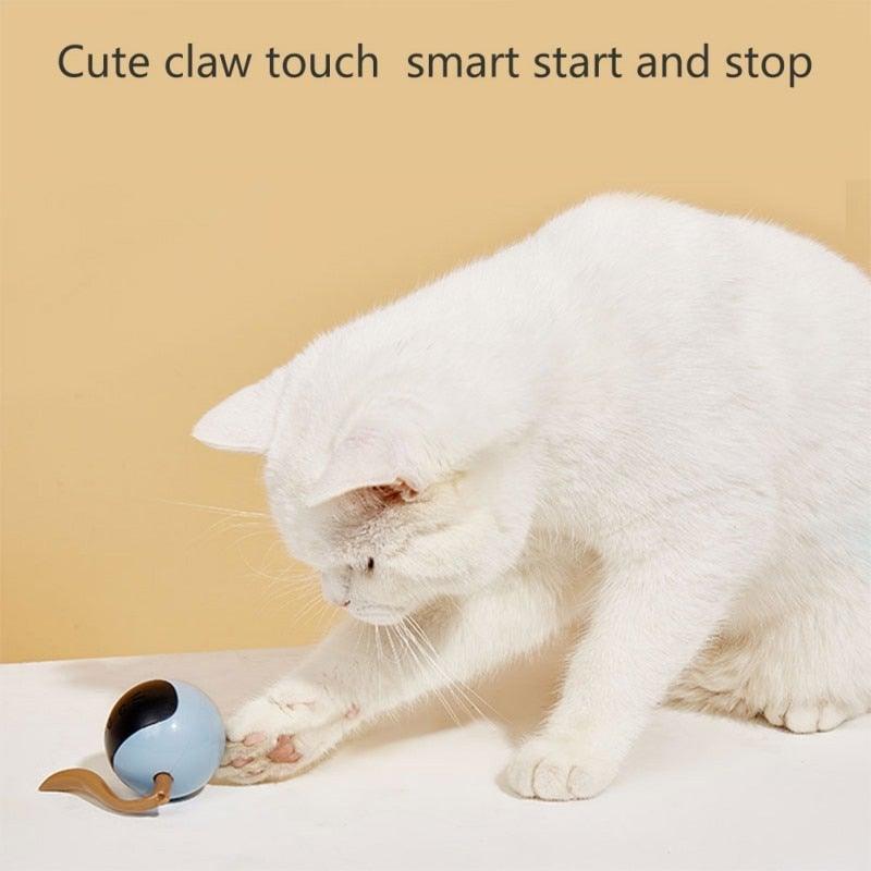 Jouet intelligent pour animaux de compagnie USB rechargeable Balle de sport Drôle de jeu Rouleau Le meilleur cadeau de divertissement et d'exercice pour chat intelligent Balle sautante électrique Jouets auto-rotatifs Balle roulante et sautante pour chats