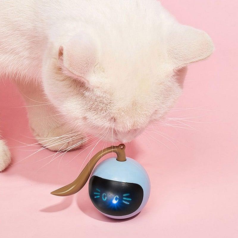 Jouet intelligent pour animaux de compagnie USB rechargeable Balle de sport Drôle de jeu Rouleau Le meilleur cadeau de divertissement et d'exercice pour chat intelligent Balle sautante électrique Jouets auto-rotatifs Balle roulante et sautante pour chats