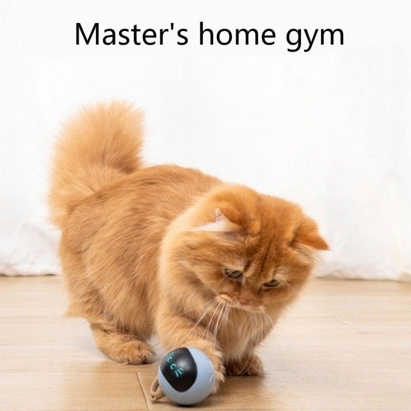 Jouet intelligent pour animaux de compagnie USB rechargeable Balle de sport Drôle de jeu Rouleau Le meilleur cadeau de divertissement et d'exercice pour chat intelligent Balle sautante électrique Jouets auto-rotatifs Balle roulante et sautante pour chats