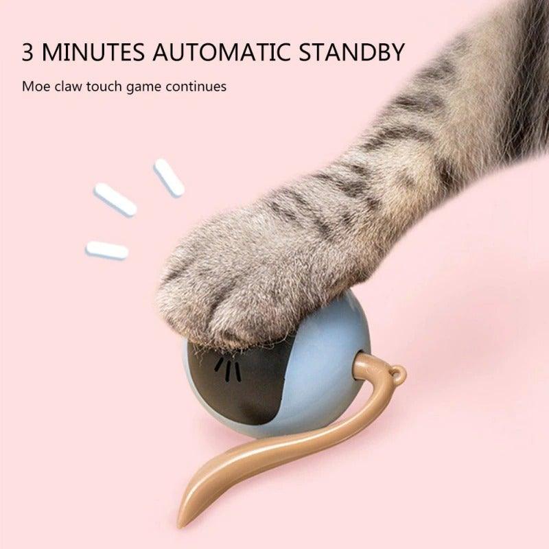 Jouet intelligent pour animaux de compagnie USB rechargeable Balle de sport Drôle de jeu Rouleau Le meilleur cadeau de divertissement et d'exercice pour chat intelligent Balle sautante électrique Jouets auto-rotatifs Balle roulante et sautante pour chats