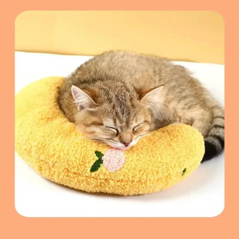 Coussins douillets pour chats d'intérieur