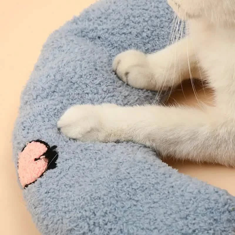 Coussins douillets pour chats d'intérieur