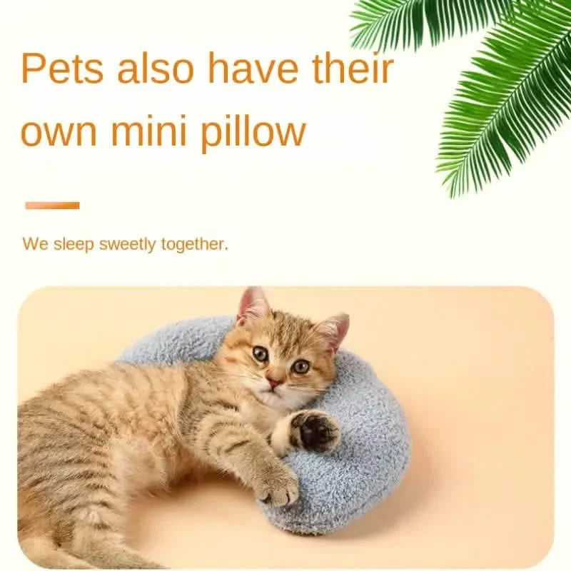 Coussins douillets pour chats d'intérieur