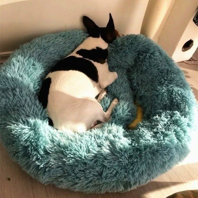 Lit douillet et moelleux apaisant pour animaux de compagnie - Hiver